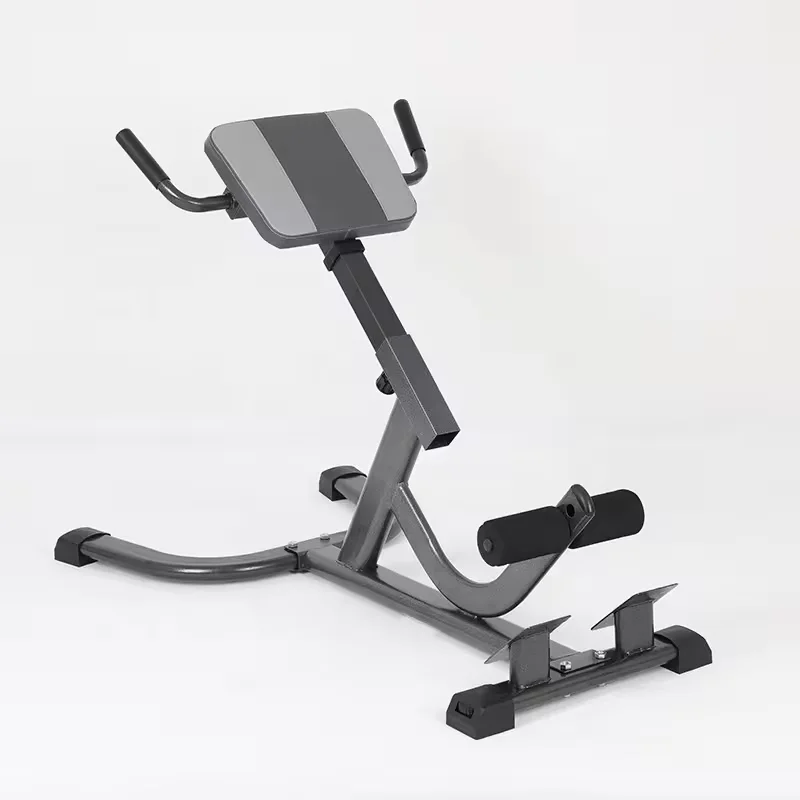 2026 Steel Roman Chair Adjusta - Home Gym Hamstring Exercises 评论和价格
