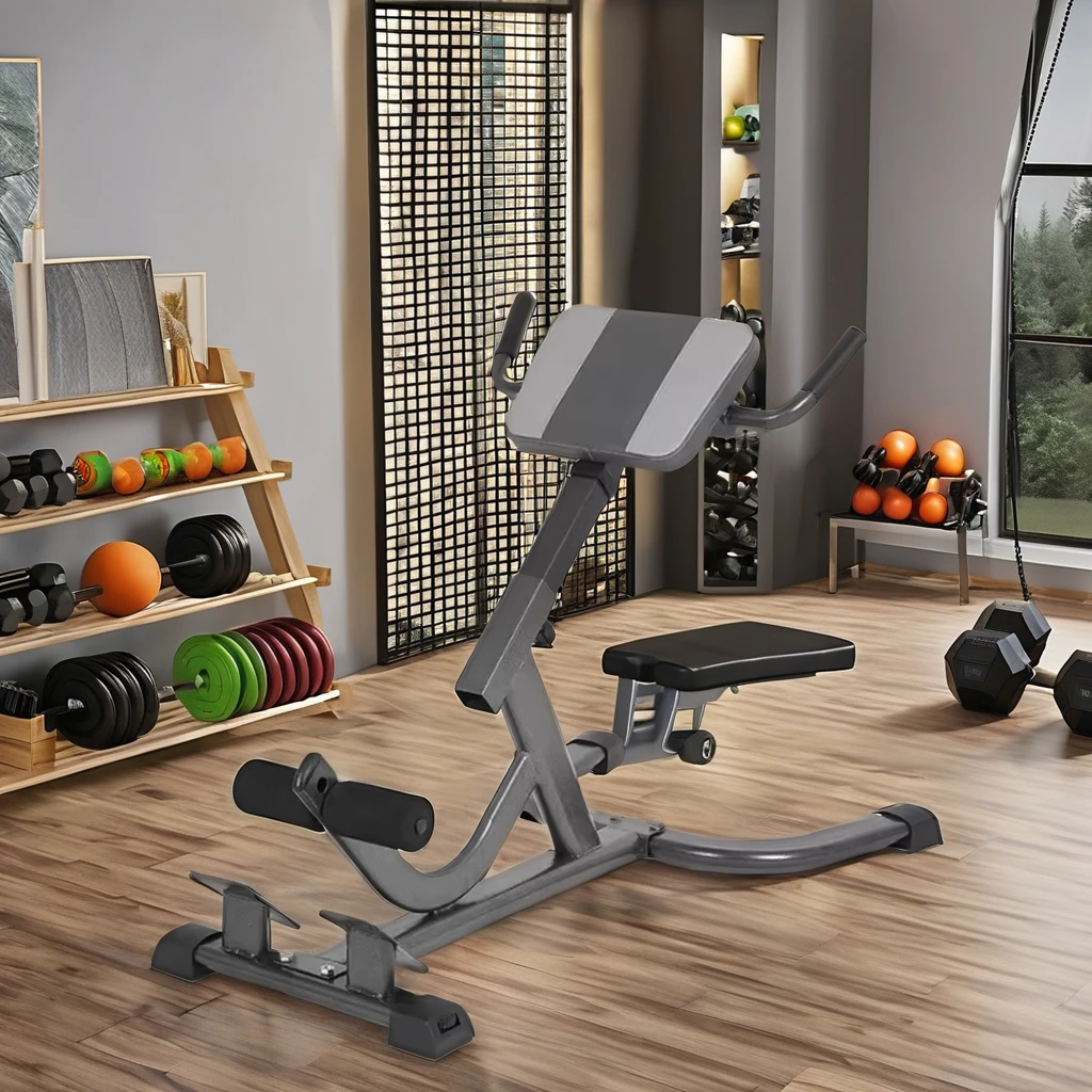 2026 Steel Roman Chair Adjusta - Home Gym Hamstring Exercises 评论和价格