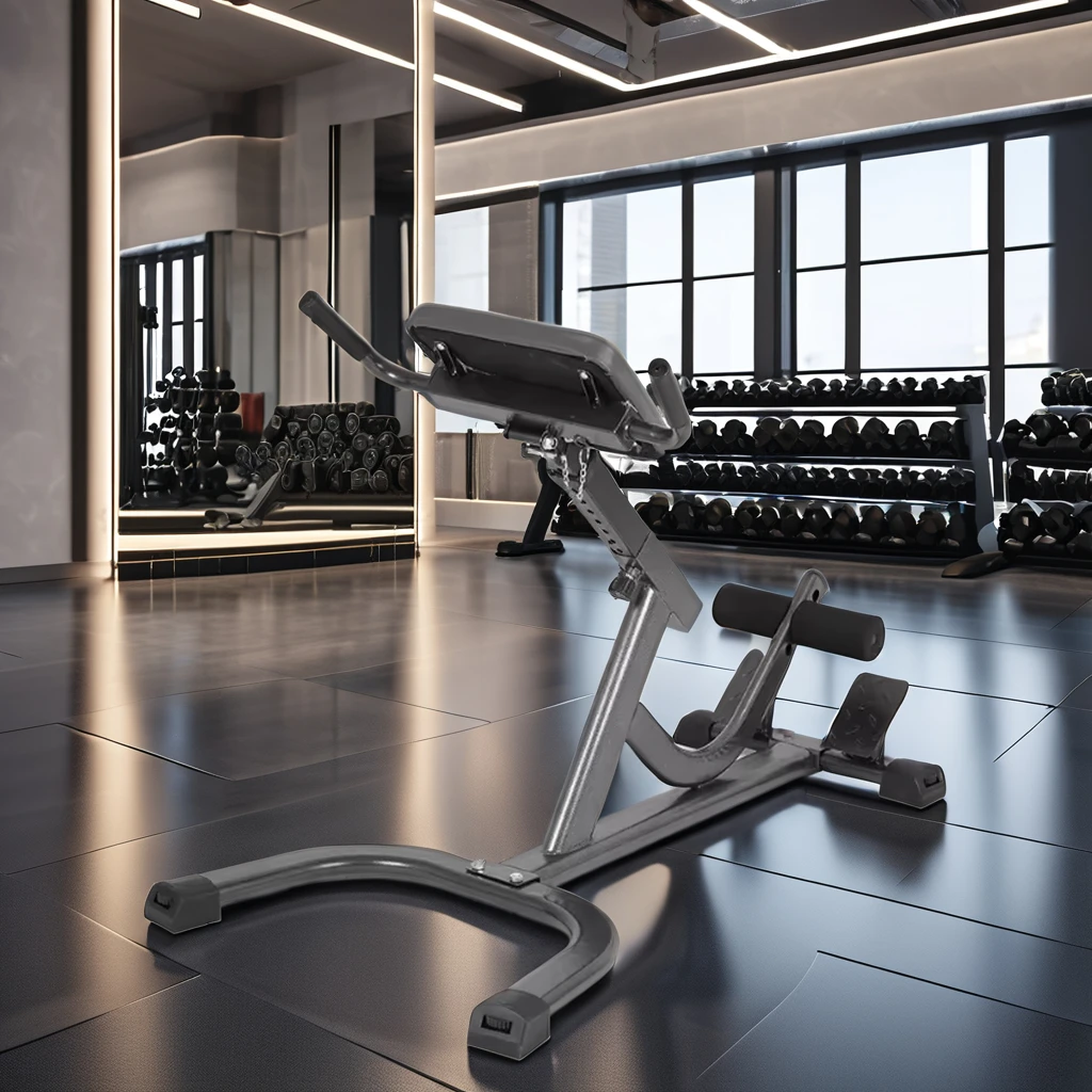 2026 Steel Roman Chair Adjusta - Home Gym Hamstring Exercises 评论和价格