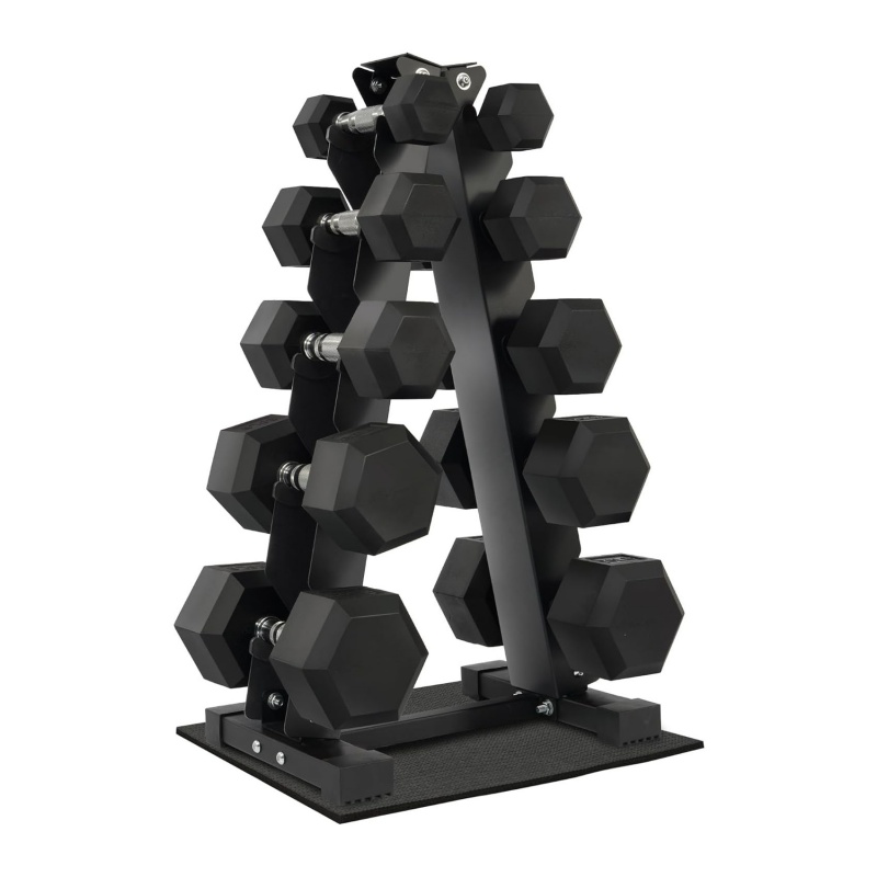 Home Gym Exercise Strength Tra - Home Gym Dumbbell Set 评论和价格